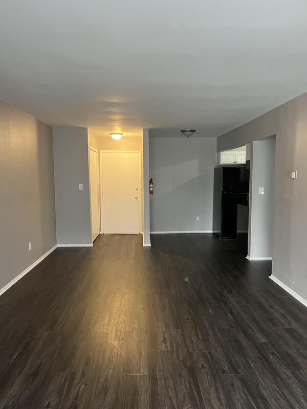 249 Chestnut St Unit 206, Wyandotte, MI 48192 Condo for Rent in