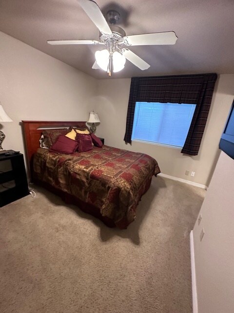 Foto del edificio - 149 Mountain Sun Trail