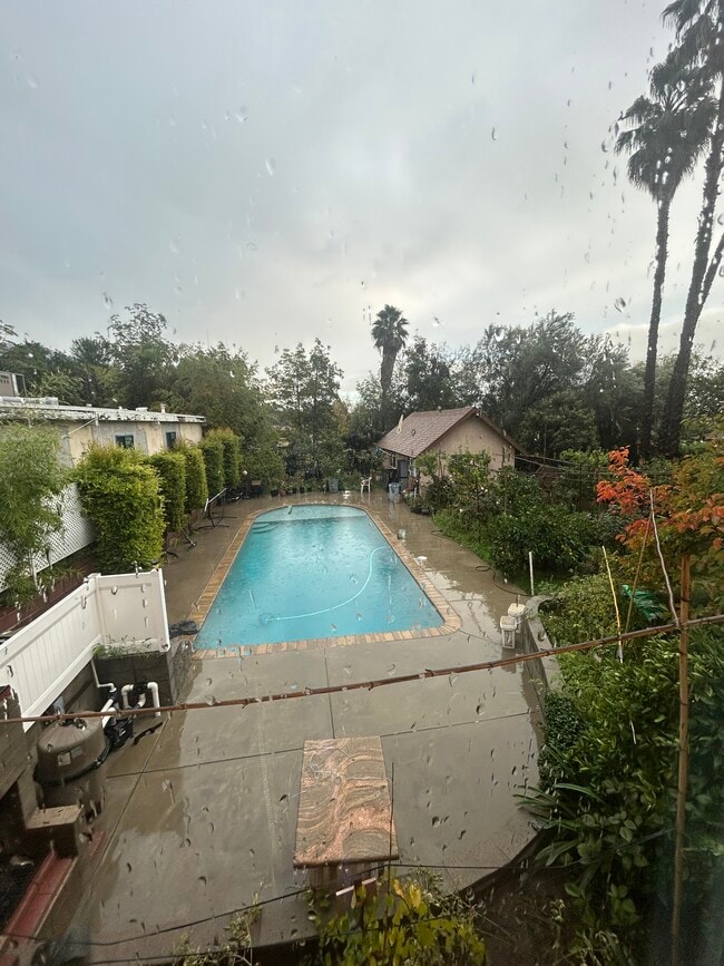 Backyard - 1054 E Providencia Ave