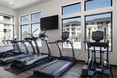 Located at 11972 W Fairview Ave in Boise, Idaho, this fitness center offers a comprehensive single-floor workout facility outfitted with a wide selection of True-brand equipment. The space is designed to accommodate a variety of exercise routines, with dedicated zones for both cardio and strength training.

The cardio area features multiple treadmills, elliptical trainers, stationary upright and recumbent bikes, and rowing machines, all arranged to take advantage of the large windows lining the walls. These windows provide generous natural light and views of the surrounding outdoor area, creating an open and energizing atmosphere. A wall-mounted television is positioned for use during cardio sessions.

The strength training section is equally well-appointed, featuring a multi-station cable machine, a full rack of dumbbells, a weight bench, medicine balls, resistance tools, and additional resistance machines. A large wall mirror spans one side of the room, visually expanding the space and allowing users to monitor their form during workouts.

The flooring throughout is a durable wood-tone laminate, and recessed lighting supplements the natural light. The layout is spacious and thoughtfully organized, providing clear circulation paths between equipment zones. An adjacent area with high ceilings and glass-panel doors offers additional space for functional or solo training.