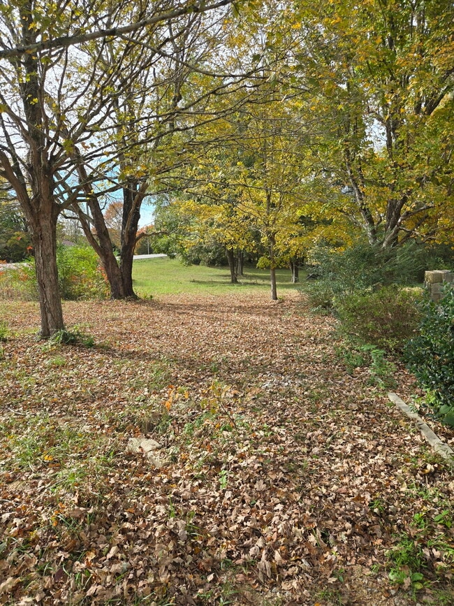 Building Photo - 7356 Old Cox Pike