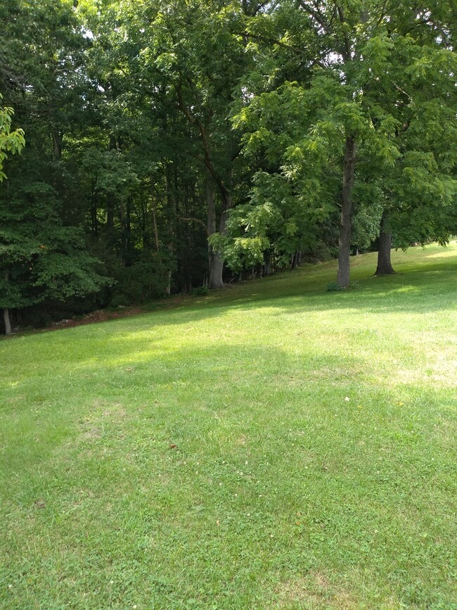 View of large back yard - 11094 Porterfield Hwy