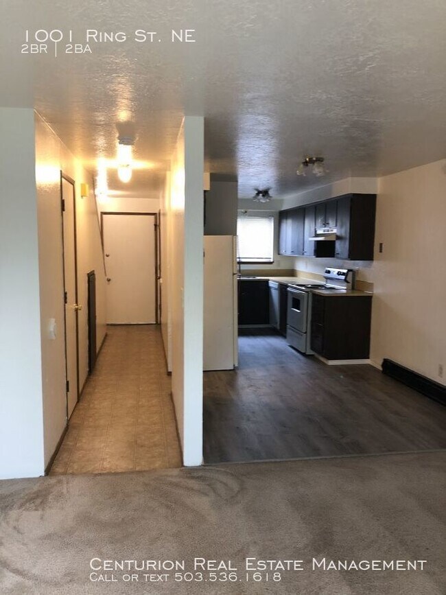 Building Photo - 1001 Ring St NE