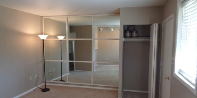 Entry Closet and Mirror-Wall - 9345 Reader Ln