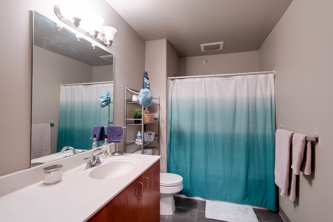 Bathroom - Aggie Village - 1215 Laramie