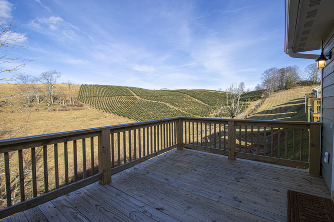 Foto del edificio - 218 Ava Wy