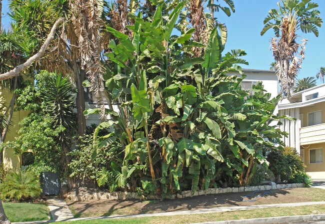 Building Photo - 455 S Oakhurst Dr