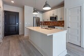 Located at 215 Willow Ave in Knoxville, Tennessee, this single-floor residence offers a clean, contemporary design highlighted by light hardwood flooring and a bright, neutral color palette throughout. The open-concept layout seamlessly connects the kitchen and living area, creating a spacious, airy feel ideal for both everyday living and entertaining.

The kitchen is a standout feature, equipped with white shaker-style cabinetry, a warm terracotta tile backsplash, stainless steel appliances including a refrigerator, range, and microwave, and a large center island with a white quartz countertop and a gold-toned undermount sink. Pendant lighting with antique brass fixtures adds a stylish accent above the island.

The living area is well-lit by natural light from large windows and features a ceiling fan. The bedrooms continue the light hardwood flooring and are each fitted with ceiling fans; large windows provide views of the surrounding Knoxville cityscape. The primary bathroom offers a dual-sink vanity with white cabinetry and a glass-enclosed shower, while a secondary bathroom includes a tiled tub-shower combination and additional closet space. The overall ambiance is modern, clean, and move-in ready.