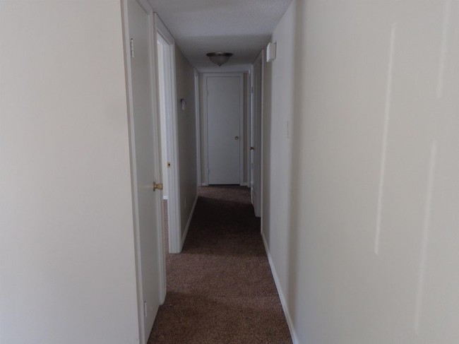 Building Photo - 3742 Rainford Dr