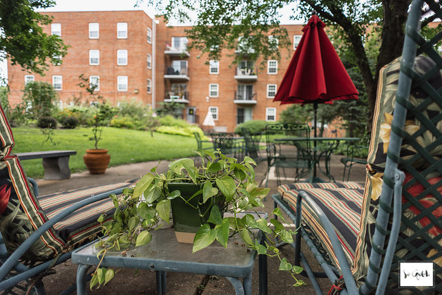 Foto del edificio - Algonquin Apartments