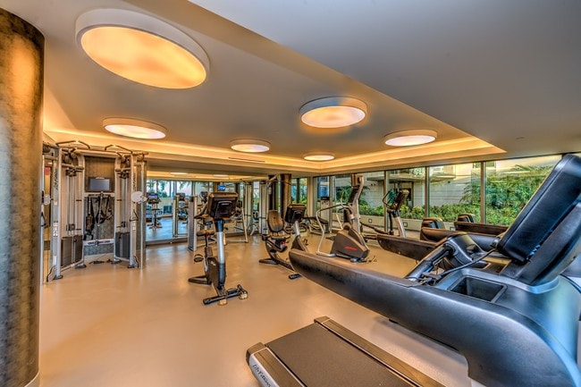 Fitness Center - The Seychelle