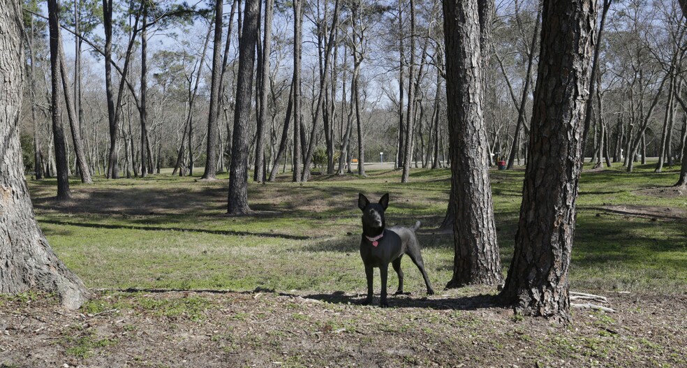 Picture of Baymeadows Jacksonville