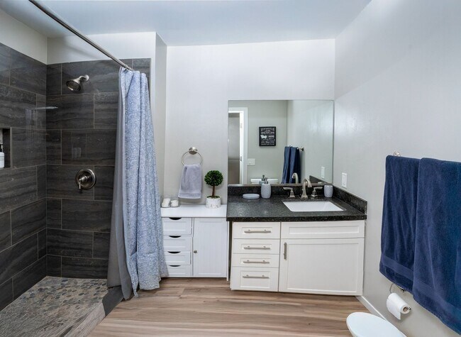Foto del edificio - Charming Studio in Las Vegas