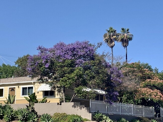 Building Photo - 7102 Mohawk St