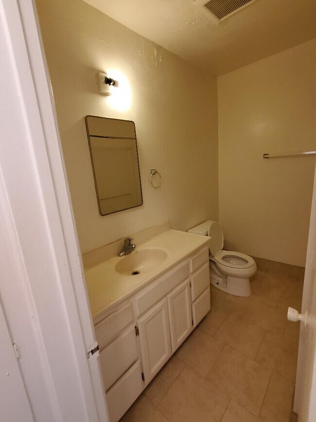 bathroom - 1141 College View Dr