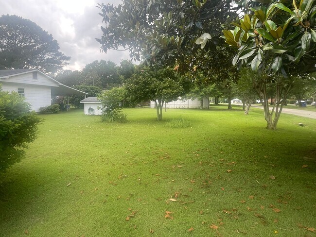 Building Photo - 256 E Hamer St, Coats, NC  27521