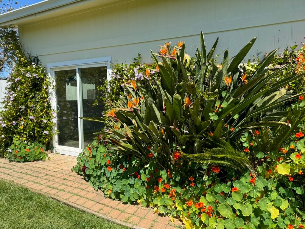 Foto principal - 2279 Janette Ct