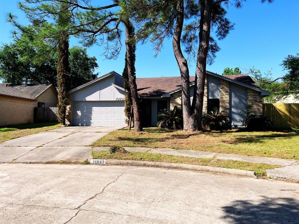 Primary Photo - 10603 Village Trail Dr