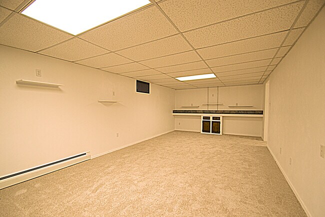 Basement - 3241 Yarrow St