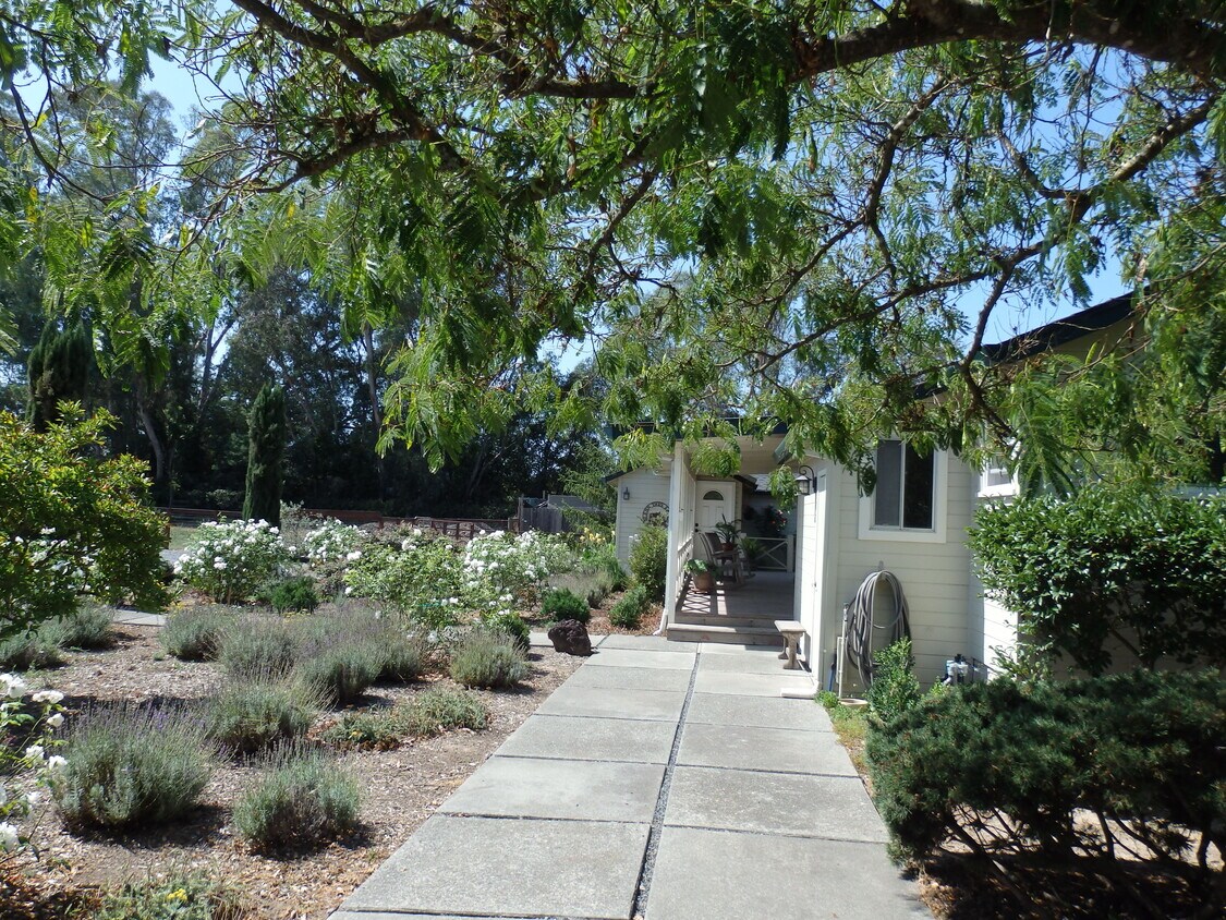 4600 Occidental Rd, Santa Rosa, CA 95401 House Rental in Santa Rosa