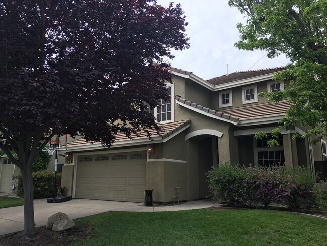 Building Photo - 248 Stetson Dr