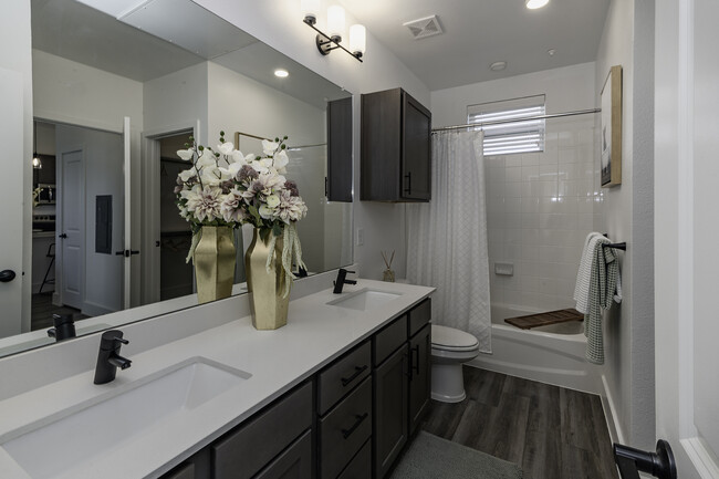 Dual Vanities - parcHAUS at Celina Parkway