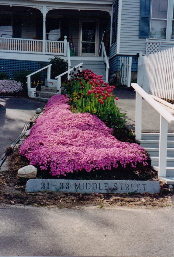 Entry to 33 Middle - 33 Middle St