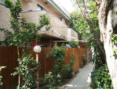 Courtyard - Parthenia Apartments