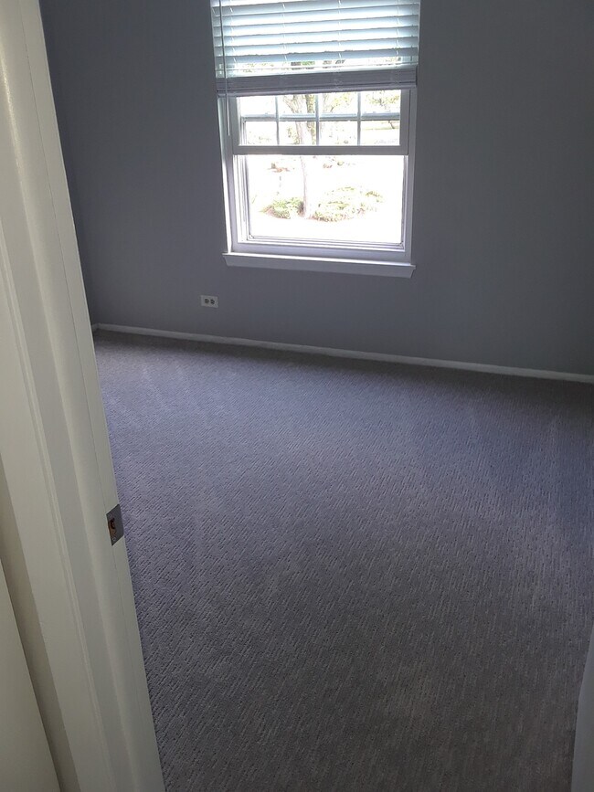 375 Newgate Ct Unit N2, Schaumburg, IL 60193 Condo for Rent in