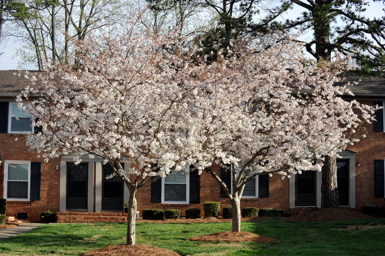 Primary Photo - Kilborne Apartments