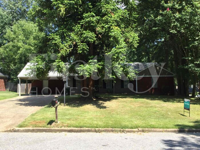 Foto principal - 3040 Wade St