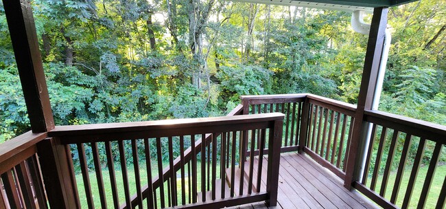 Back Deck Lower Level - 211 One Way St