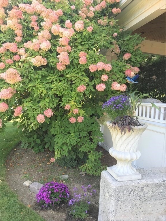 Foto del edificio - 35 Grafton St