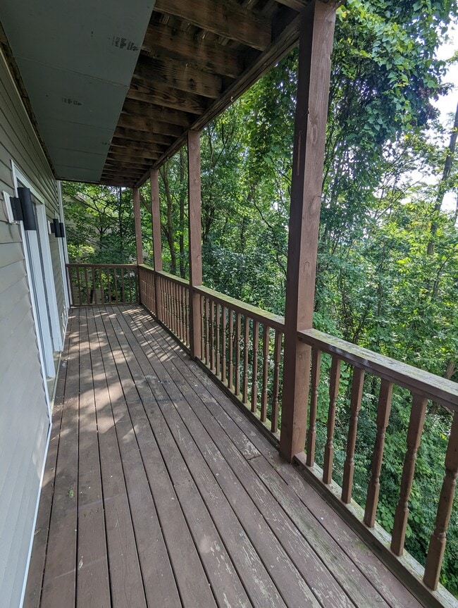 College Heights Apartments in Johnson City, TN