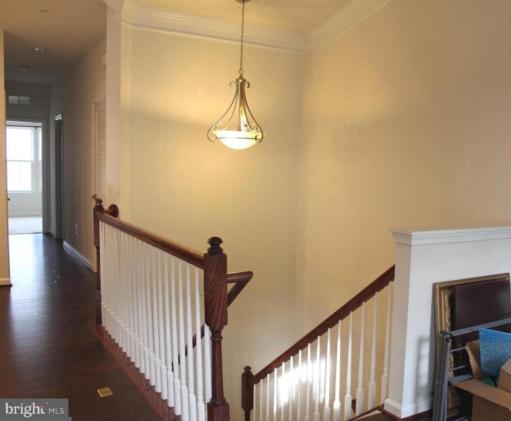Primary Photo - 24676 Footed Ridge Terrace