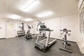 Located at 1363 Lakeshore Rd in Burlington, Ontario, this fitness room offers a well-organized and fully equipped workout space within a compact, single-level layout. The room features a rubber-tile floor designed to withstand heavy equipment use, white walls, and a textured ceiling fitted with fluorescent strip lighting that ensures consistent, bright illumination throughout the space. A wall-mounted split air conditioning unit provides climate control for year-round comfort during workouts.

The fitness area is outfitted with a variety of cardio equipment, including treadmills and an elliptical trainer, along with a multi-station cable machine that supports a wide range of strength exercises. A dedicated dumbbell rack with a full set of free weights, medicine balls, and a flat workout bench provide additional training versatility. An exercise step and stability ball further round out the available equipment.

A defining architectural feature of the room is the large panel of floor-to-ceiling mirrors mounted along one wall, which visually expand the space and allow users to monitor their form during exercise. Motivational black-and-white athletic photography is displayed on the walls, contributing to an energetic and focused ambiance. A floor fan is also on hand for additional ventilation. The room is accessed through a standard interior door, making it a convenient and self-contained fitness facility.