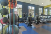 Located at 70 Lakeshore Drive in Hampton, Virginia, this fitness center is a single-floor facility designed to support a comprehensive workout experience. The space is defined by its bold, energetic color palette — deep navy blue and bright yellow accent walls — set against crisp white ceilings with recessed lighting that keeps the environment well-illuminated throughout the day.

Large, multi-pane windows line the walls on multiple sides, flooding the interior with abundant natural light and offering views of the surrounding greenery. The flooring features a distinctive multi-colored checkerboard pattern in blue, brown, and neutral tones, adding a dynamic visual element while providing a durable, gym-appropriate surface.

The cardio zone is equipped with modern treadmills outfitted with individual display screens, positioned along a windowed wall and reflected in large floor-to-ceiling mirrors that enhance the sense of space. The strength training area offers a full rack of dumbbells, multiple cable and weight machines, adjustable benches, and a cable crossover station, providing options for both targeted and full-body workouts. Medicine balls and stability equipment round out the functional training offerings.

The vaulted ceiling in the main training area adds a sense of openness and volume, while ceiling fans contribute to airflow and comfort. A wall-mounted television and full-length mirrors throughout support both entertainment and form monitoring during workouts.