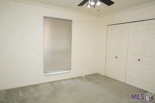Foto del edificio - 145 Croydon Ave