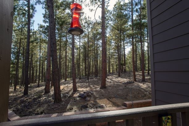 Photo - 3795 S Brush Arbor Townhome