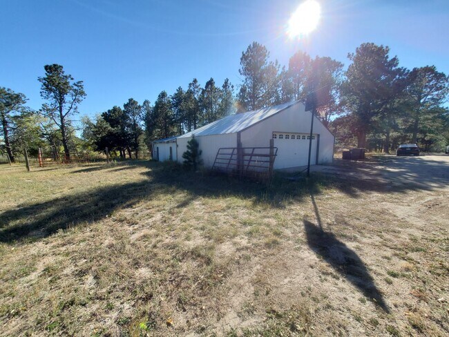 Building Photo - Stunning 4/2/2 Home in Black Forest!!!!
