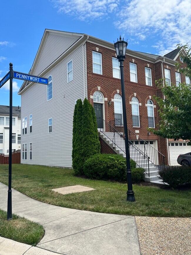 25134 Pennywort Ter, Stone Ridge, VA 20105 Townhome Rentals in Stone
