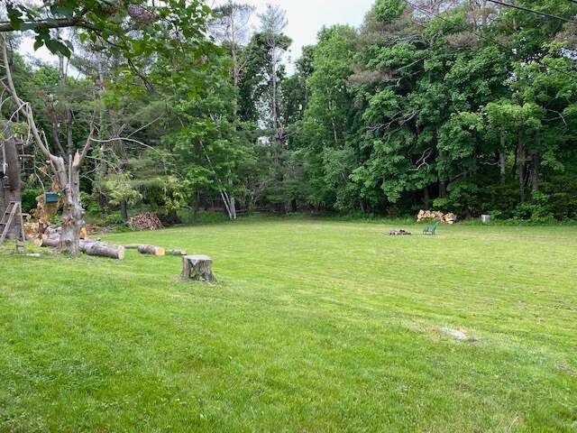 beautiful large yard - 166 Pettingill St