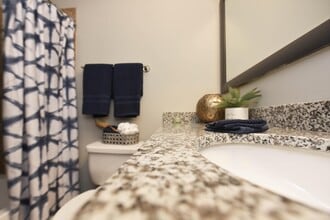 Granite counters in bathroom - Overton Brentwood