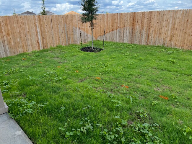 Foto del edificio - 14627 Sweet Clover