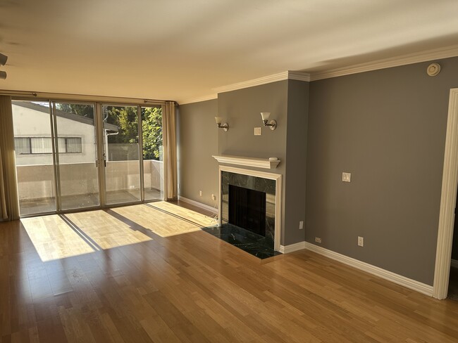 Huge living room with decorative fireplace and large balcony - 725 S Barrington Ave