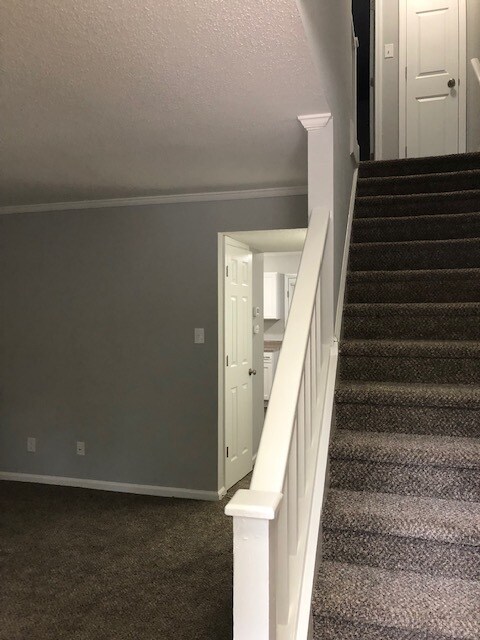 Building Photo - 104 Terrace Dr