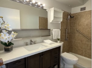 Bathroom - 755 S Alton Way