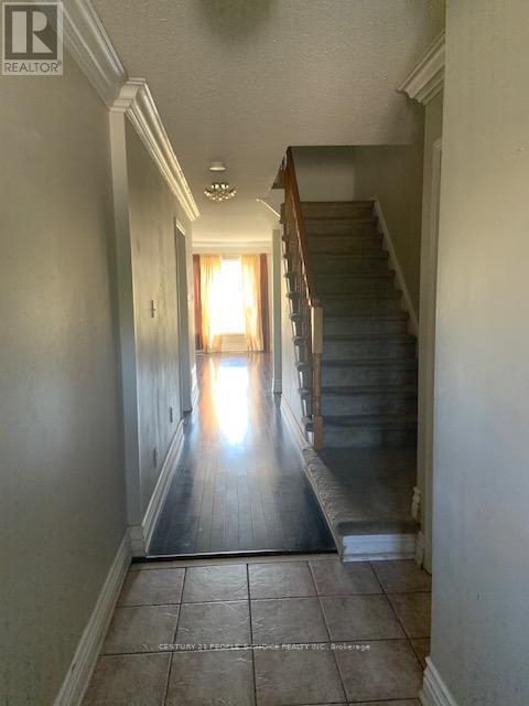 Photo du bâtiment - 525 Novo Star Dr