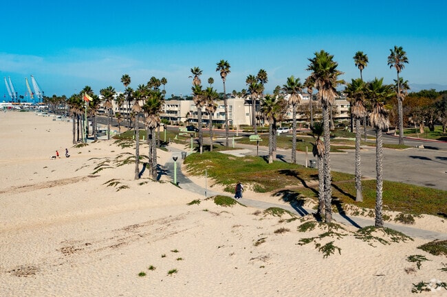 Beach trails in Port Hueneme are ideal for scenic walks under palm trees.
