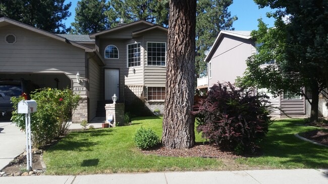 Building Photo - Beautiful South Hill Home!